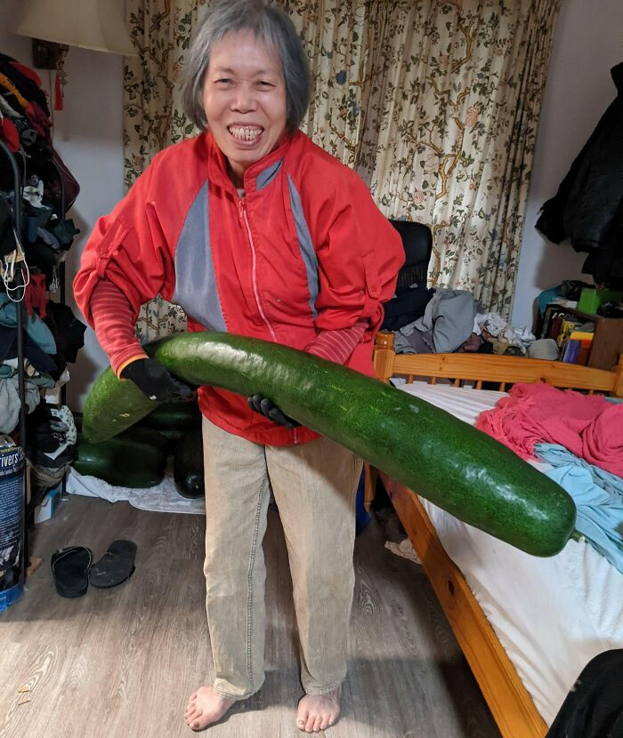 My Mom Asked If I Wanted To See Her Melon. Mom For Scale