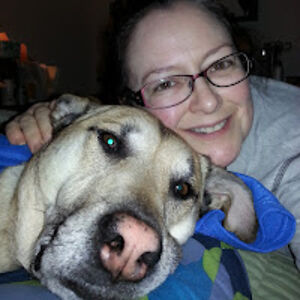 kandyhaldeman avatar