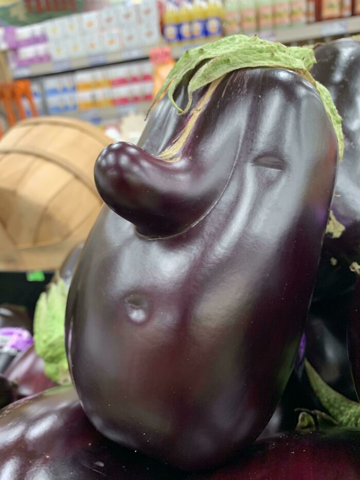 Hipster Eggplant Found At The Trader Joes In Silverlake, Ca