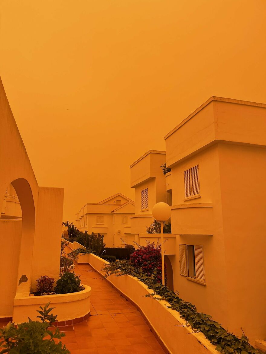 This Was My Neighborhood Today