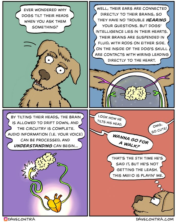 New Whimsically Dark Comics By Dave Contra That You Won’t Believe Your Eyes