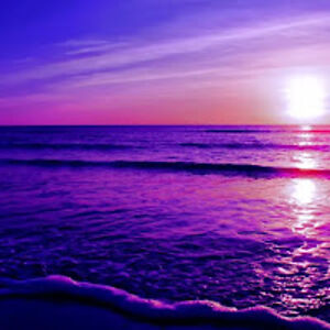 emileighhayward avatar