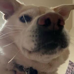 phoenixmmotes18 avatar