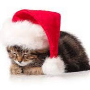 azariahdockery avatar