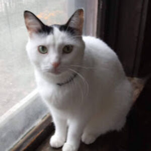 abigailbrettxneider avatar