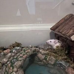 ericsvideos13 avatar