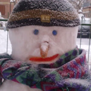 alessandrocampani avatar