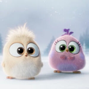 syedazahranaqvi avatar