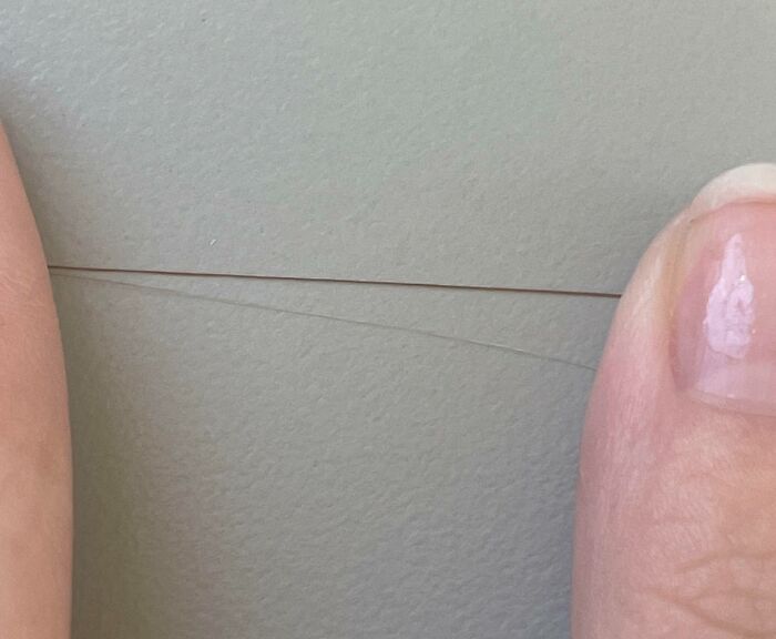 The Thickness Level Of A Strand Of One Of My Red Hairs, Compared To One Of My Blonde Hairs