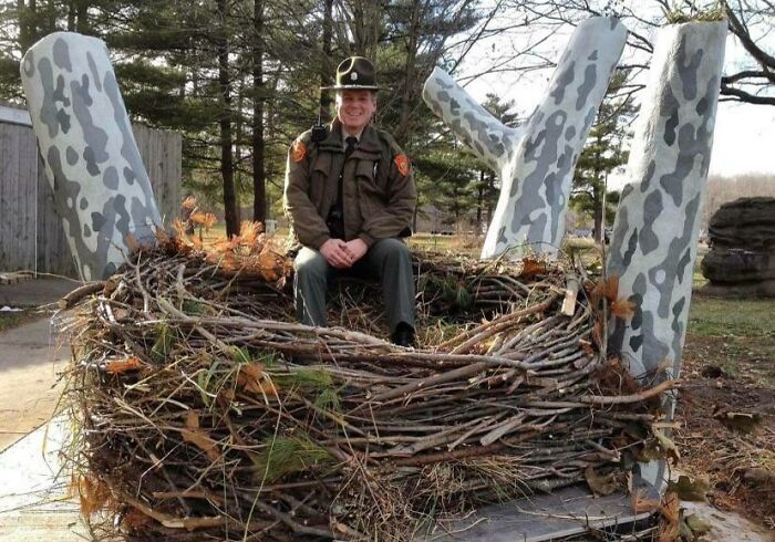 Bald Eagle Nests Are Generally 5 Feet Wide And 3 Feet Deep. The Largest Recorded Bald Eagle Nest Is 9.5 Feet In Diameter, 20 Feet Deep And Weighed Almost 6,000 Pounds