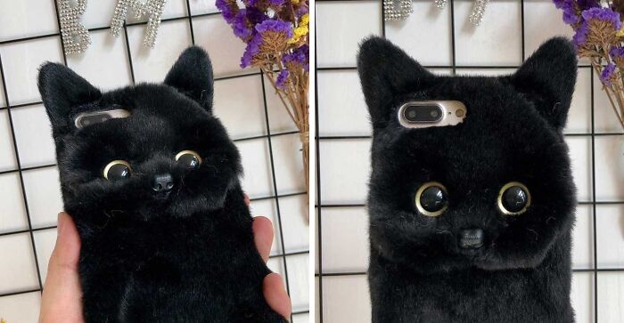 The Cutest Case