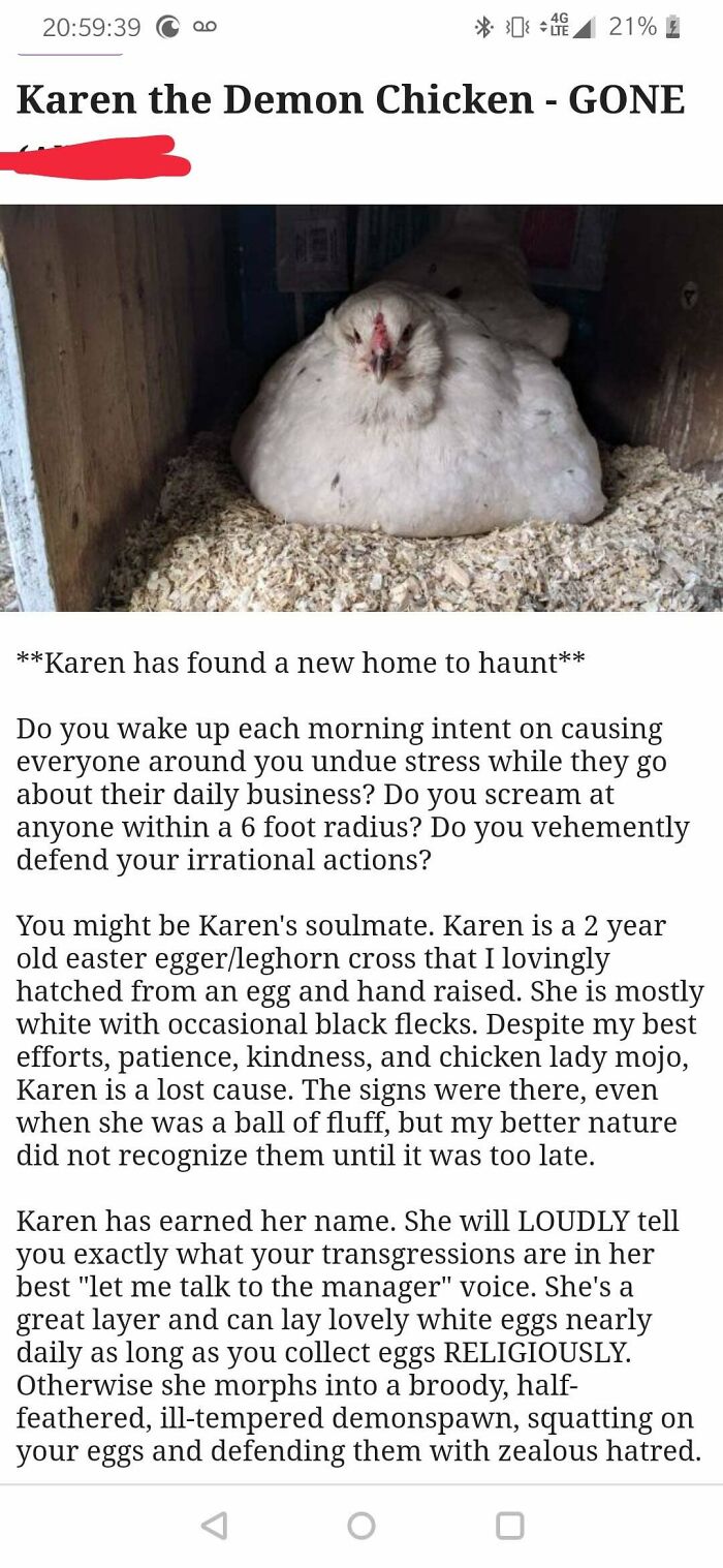 Karen The Devil Spawn Chicken