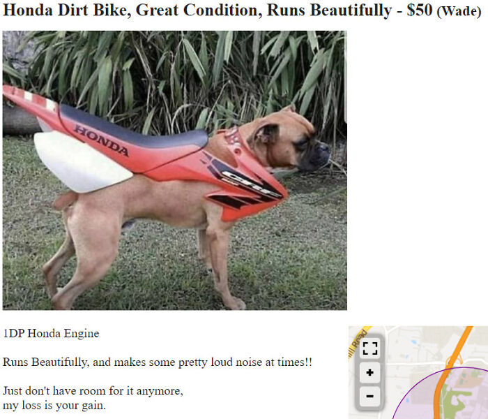 While Looking For A Bike On Craigslist
