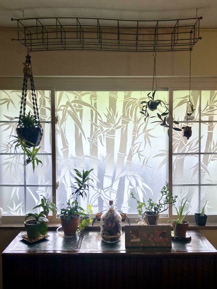 Thought You Might Like Upcycling NY College Cd Rack Into A Adultish Plant Hanger