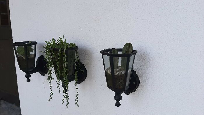 Upcycled These Old Lamps As Vases For My Plants. I Think They Look Cool, Especially The Middle One