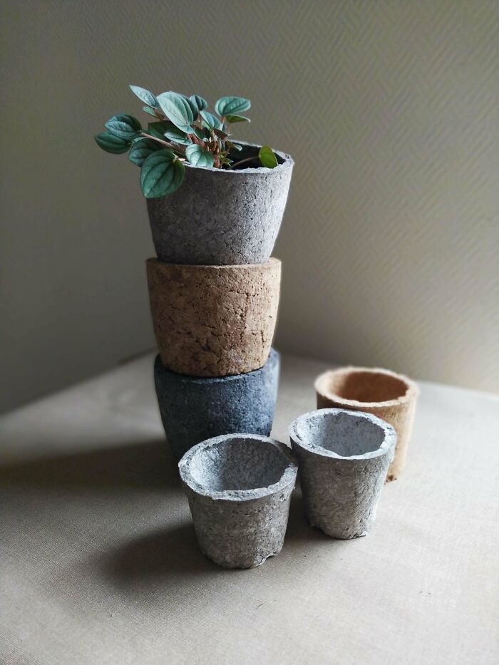I Make Pots For Plants From Old Paper And Cardboard
