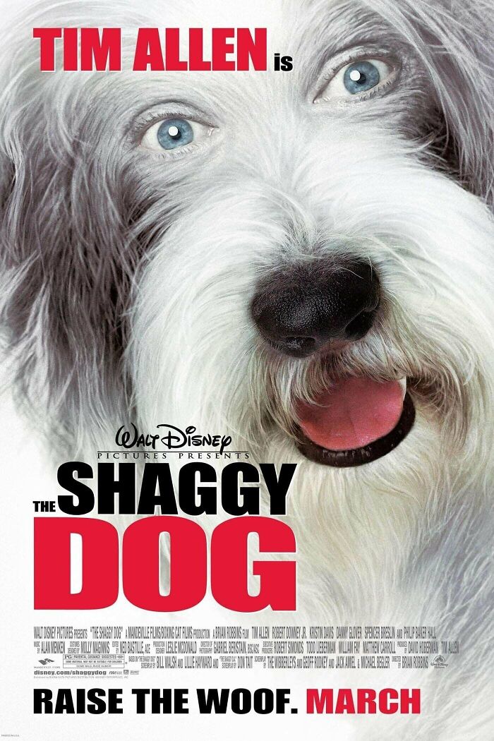 Shaggy The Dog