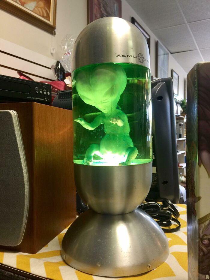 7,99 dólares por esta espeluznante lámpara alienígena. La amo