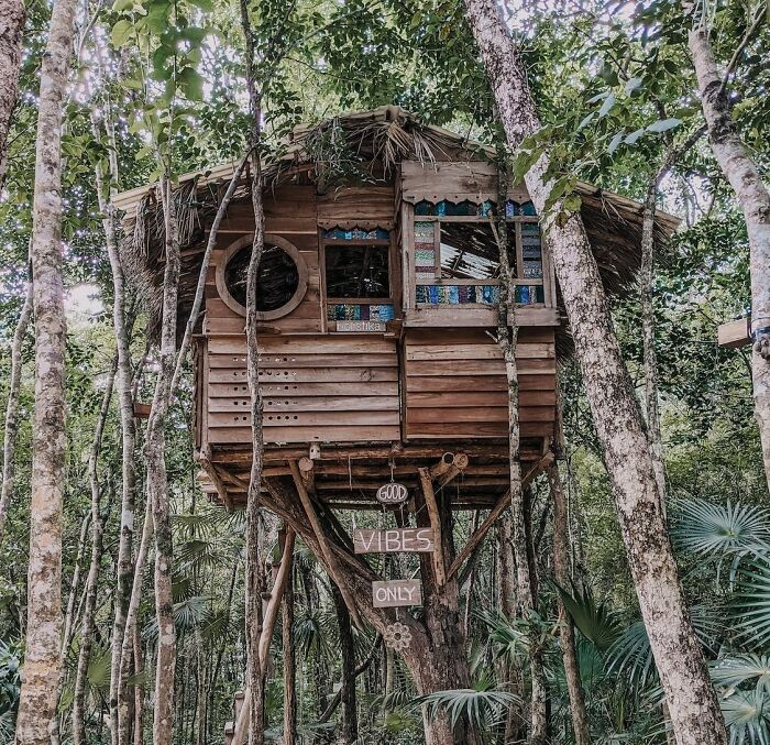 a big wooden treehouse