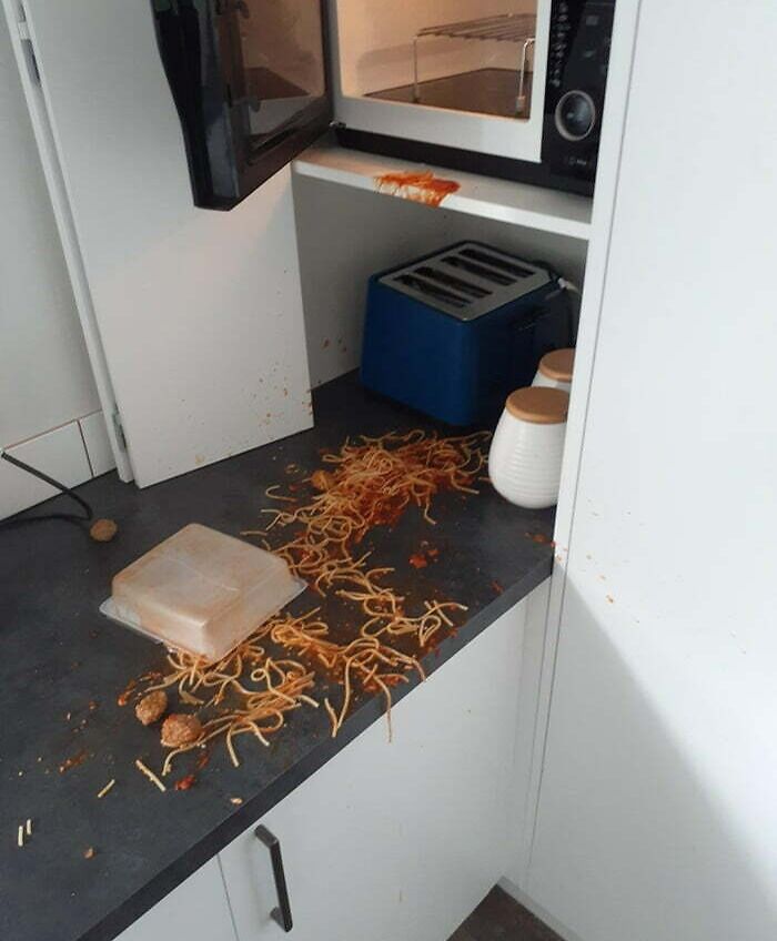 Microwave Accident