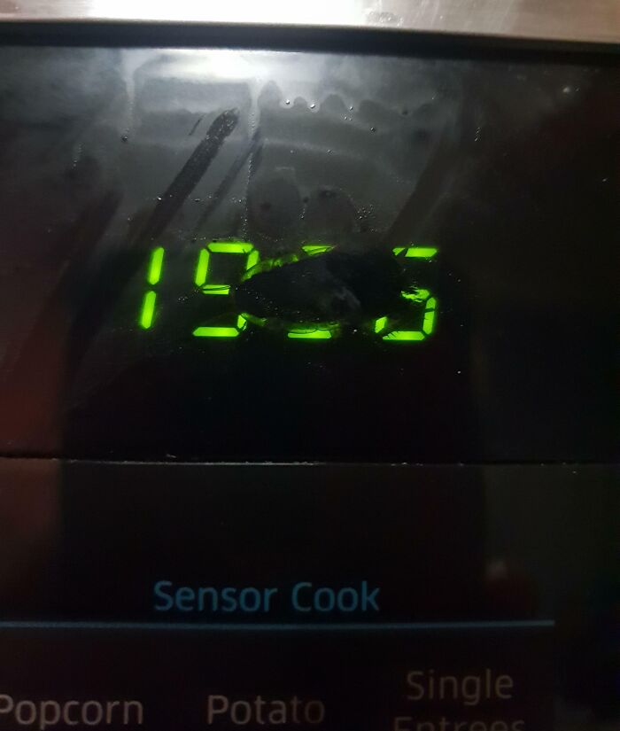 Thought The Clock On My Microwave Was Glitching, Turns Out There Is A Cockroach Stuck In It