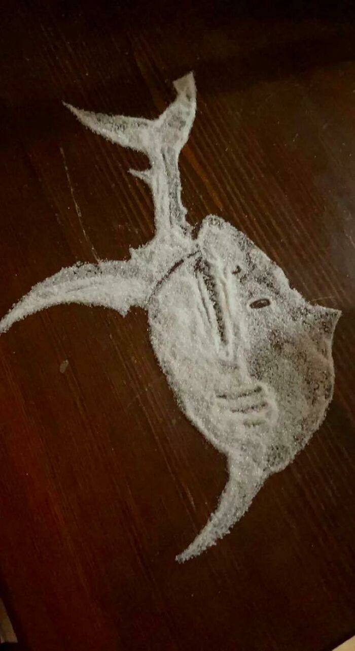 Shark Made Out Of Salt