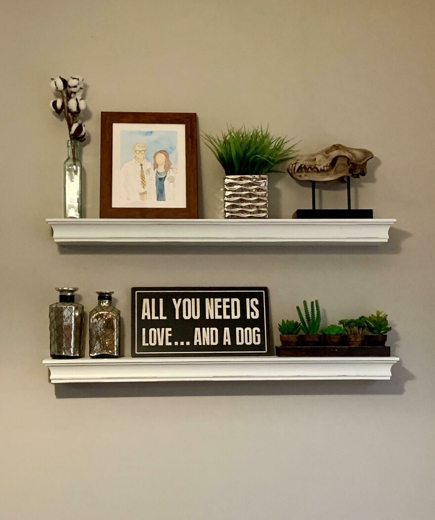 White book shelf with plants 