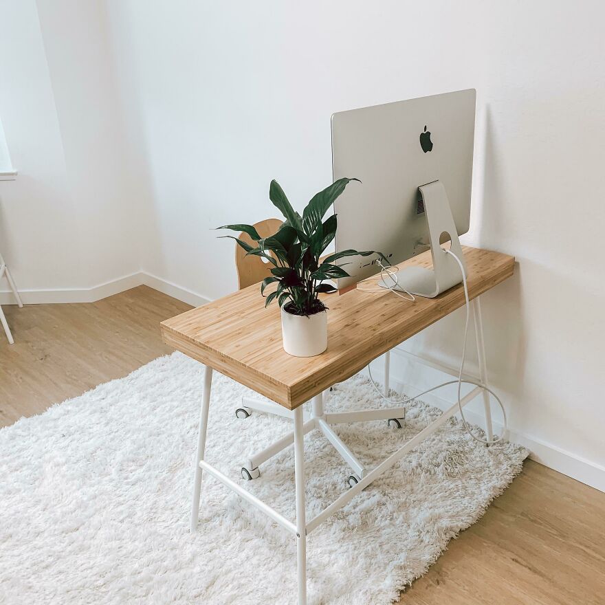 Wooden table with PC and a plant on it 