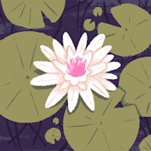 oliviashearouse avatar