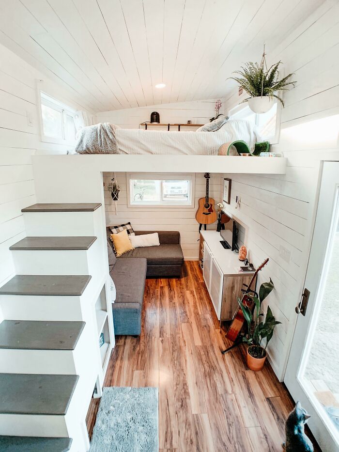 Bright tiny house design with white walls, brown wood floor, grey couch, lofted bed, and indoor plants in a cozy living space.