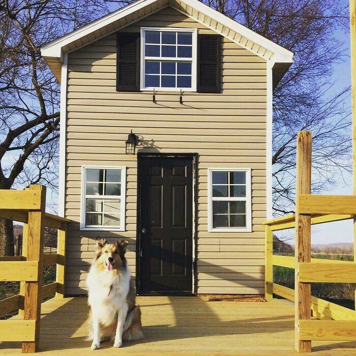 Tiny house design with a black door and a dog sitting on the wooden porch, surrounded by trees.