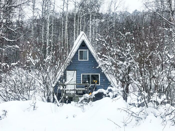 Small blue cabin in the snowy woods 