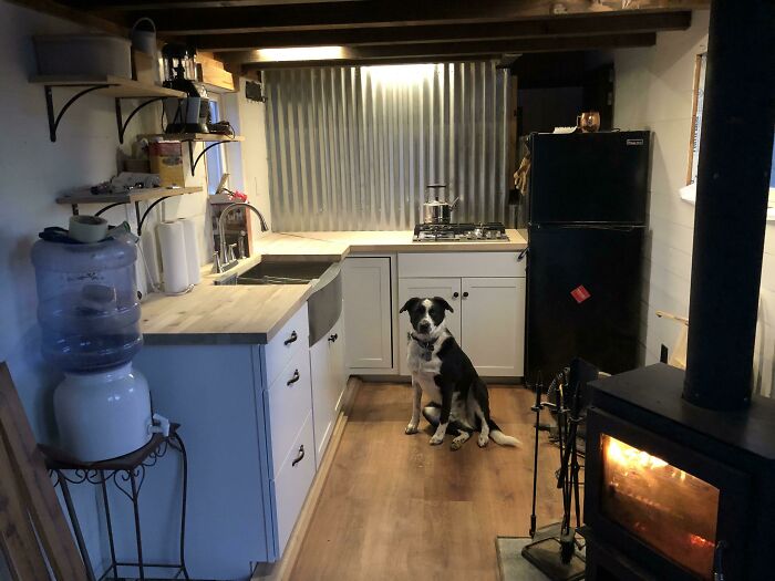 Cozy tiny house kitchen with wood stove, dog, water dispenser, and simple design.