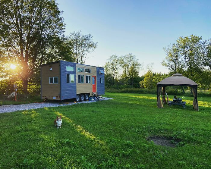 Dog standing on grass near a tiny house with blue and brown exterior and a small outdoor seating area at sunset.