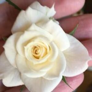 winona_fowler avatar