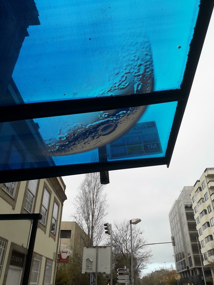At This Bus Stop Named "Planetarium", There Is A Cutout Of The Moon On The Roof Of The Bus Stop