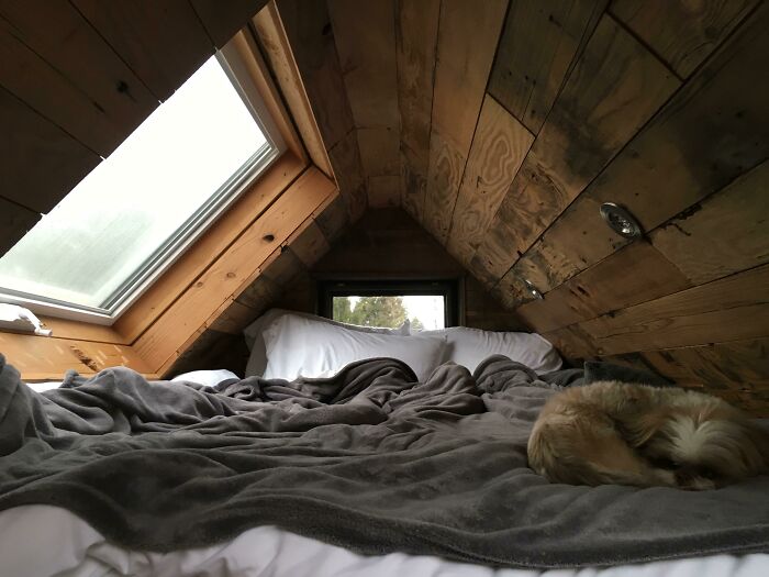Stayed In A Tiny House Recently, This Was The Bed. Wonderful Place To Curl Up And Listen To The Rain