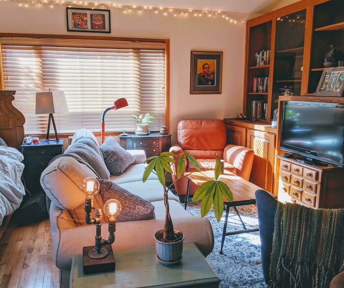 Cozy tiny house living room with sofa, potted plant, and vintage decor under warm string lights.
