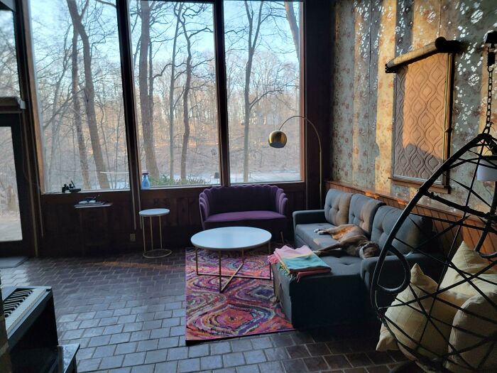 Cozy tiny house living room with large windows, purple sofa, and vibrant rug, capturing serene woodland views.
