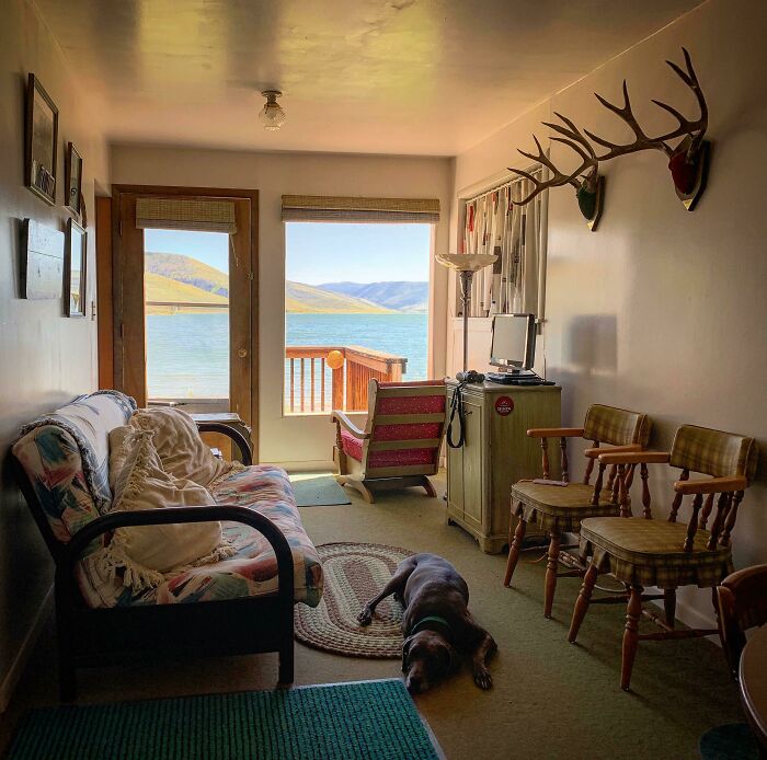 Cozy tiny house living area with lake view, rustic decor, and a dog resting on the floor.