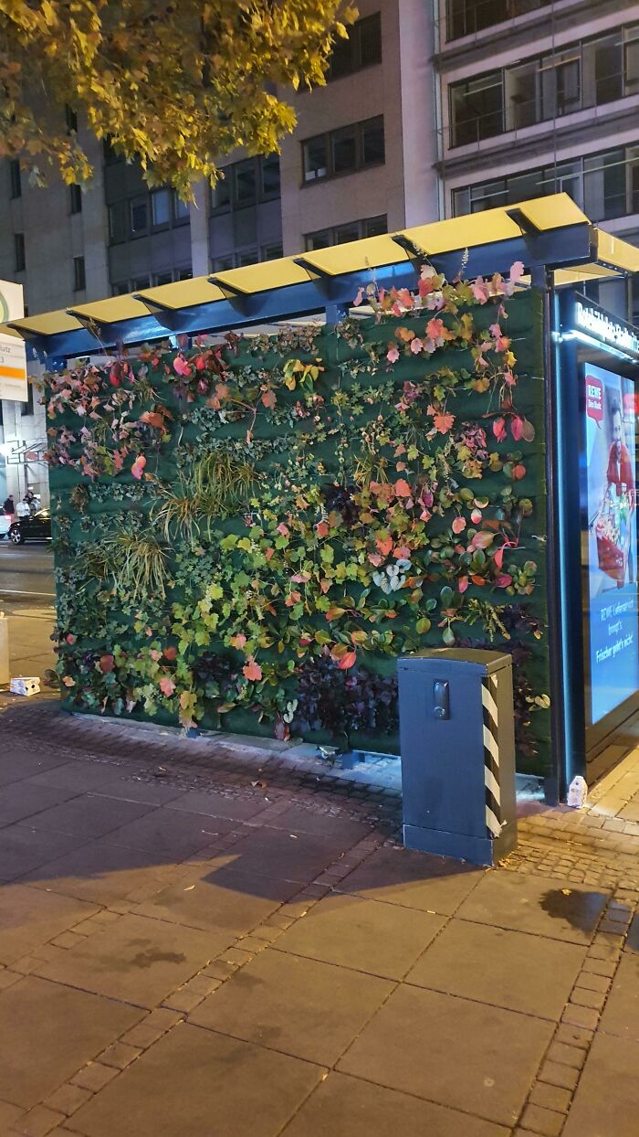 These New And Beautiful Anti-Air Pollution Bus Stops In My City