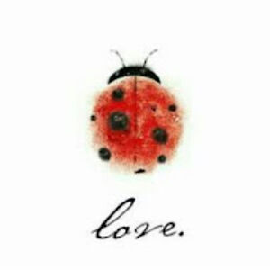 conniestonewilmergemstone avatar