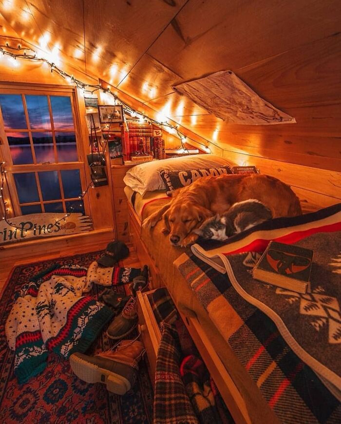 Cozy tiny house interior with a dog sleeping on a bed surrounded by warm lighting and rustic decor.