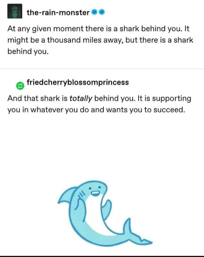 There's Always A Shark Behind You
