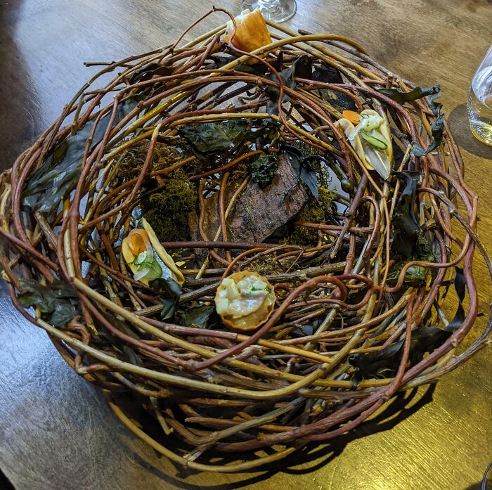 A Bird's Nest For Appetizers. To Be Fair The Food Was Amazing