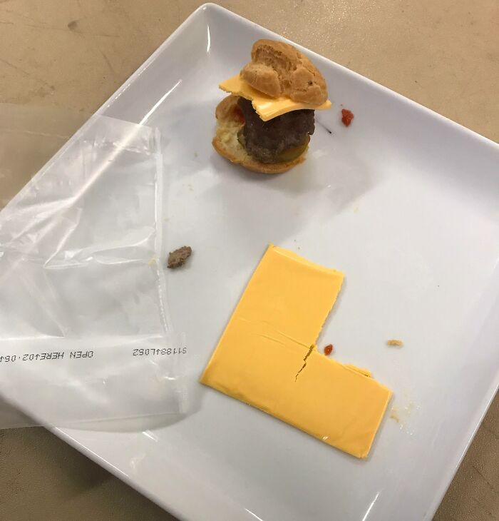 Fancy Slider With Pre-Packaged Slice Cheese On It