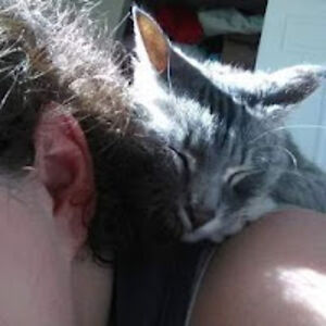 rhiannawilliams avatar