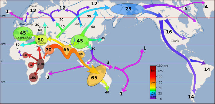 Estimated Migration Of Early Homo Sapiens Out Of Africa To The Rest Of The World, In Thousands Of Years Ago (Kya)