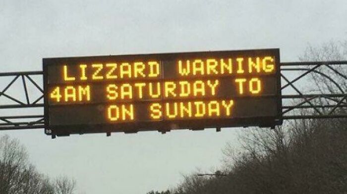 Are Lizards Going To Start Falling From The Sky
