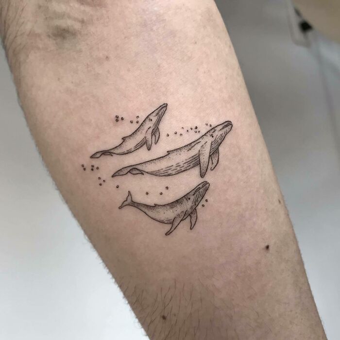Animal whale family leg tattoo